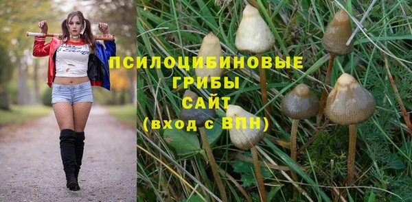 бутират Баксан