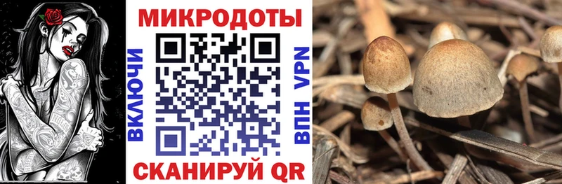 Галлюциногенные грибы Cubensis  наркошоп  Шали 